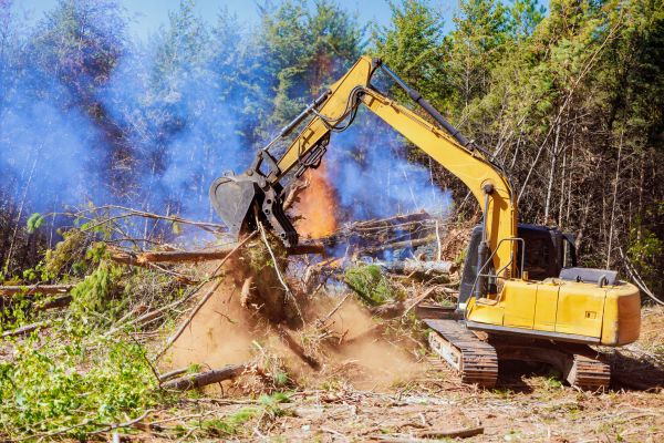 Greenville Land Clearing